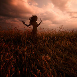 ... by Peter Majkut