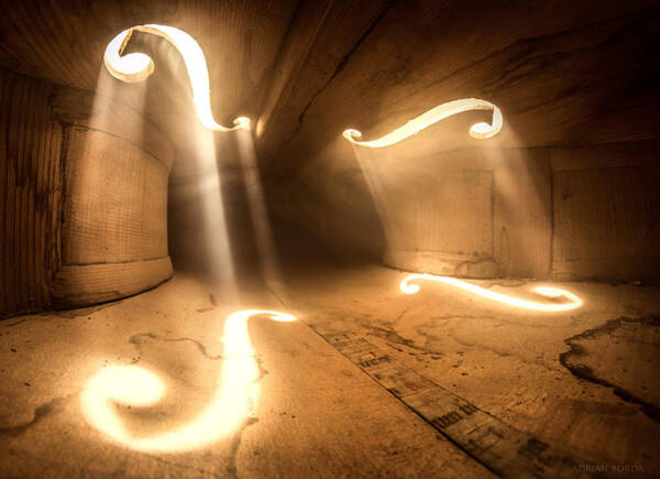 Wall Art - Photograph - Inside Violin #1 by Adrian Borda