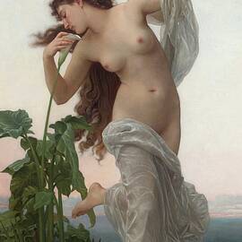 Laurore by William-adolphe Bouguereau