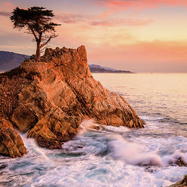 Lone Cypress by Erick Castellon