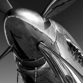 P-51 Mustang #2 by John Hamlon