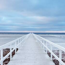 The Bridge by Jacek Oleksinski