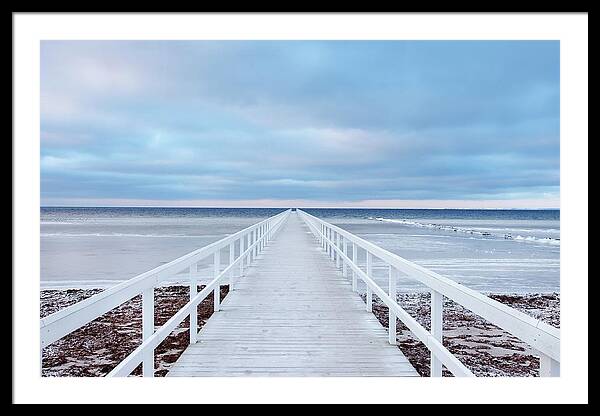 The Bridge #1 Framed Print