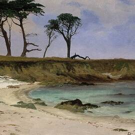 Sea Cove by Albert Bierstadt