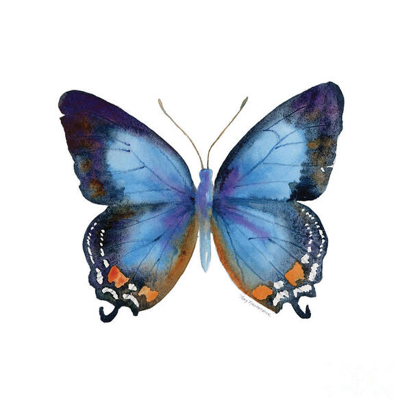 80 Imperial Blue Butterfly Art Print