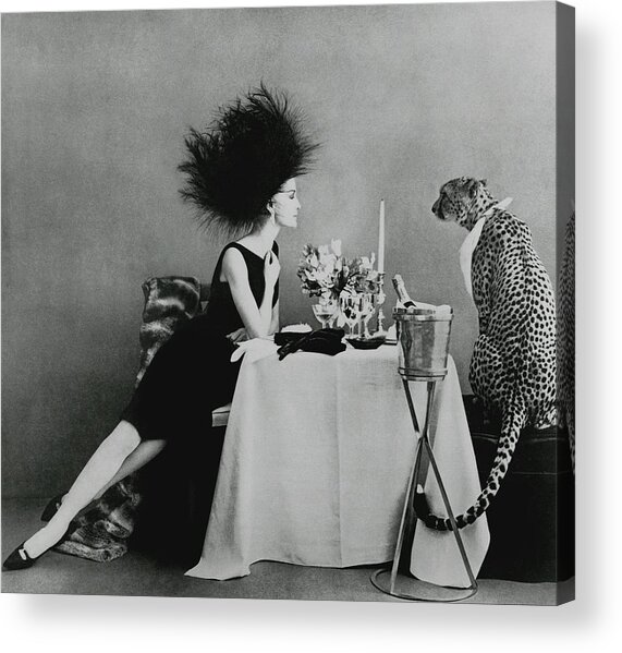 A Model With A Cheetah Acrylic Print