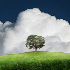 A New Unity by Ian David Soar