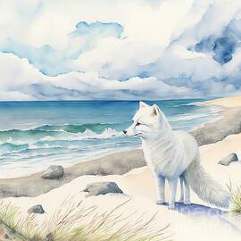 arctic fox at the beach landscape  by N Akkash