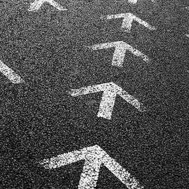 Arrows on Asphalt by Carlos Caetano