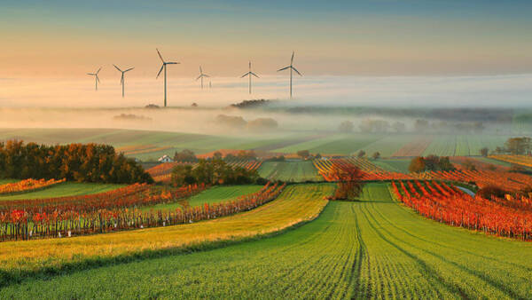 Wall Art - Photograph - Autumn Atmosphere In Vineyards by Matej Kovac