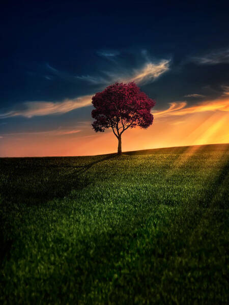 Wall Art - Photograph - Awesome Solitude by Bess Hamiti