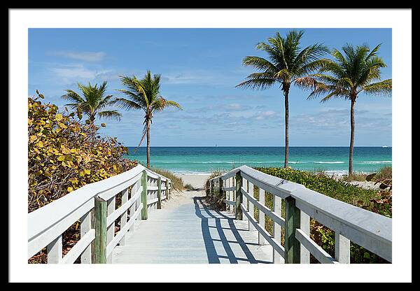 Beach Entrance, Florida Framed Print