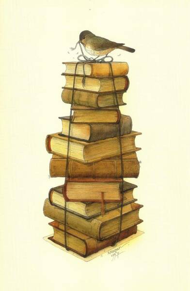 Books And Little Bird Poster