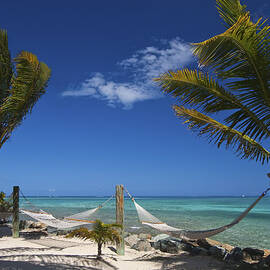 Breezy Island Life by Adam Romanowicz