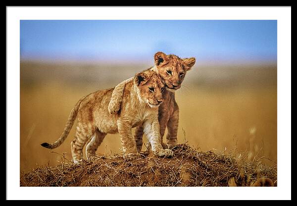 Brothers For Life Framed Print