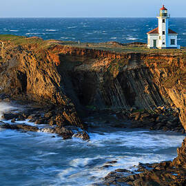 Cape Arago Lighthouse by Robert Bynum