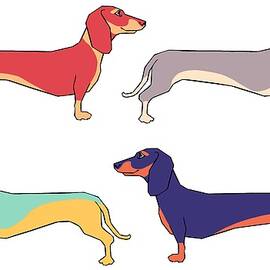 Dachshunds by Kelly King