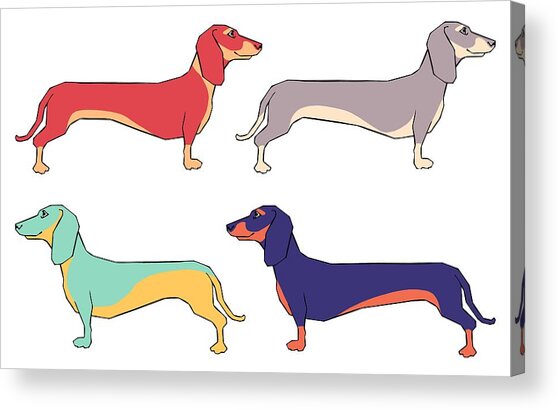 Dachshunds Acrylic Print