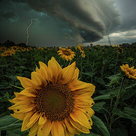 Disorder by Aaron J Groen
