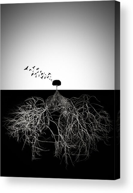 Do Not Judge According To Appearance Acrylic Print