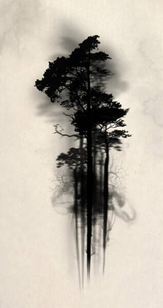 Enchanted Forest Art Print