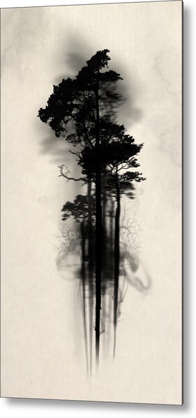 Enchanted Forest Metal Print