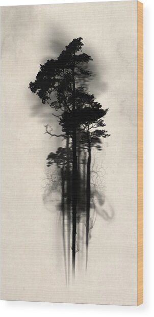 Enchanted Forest Wood Print