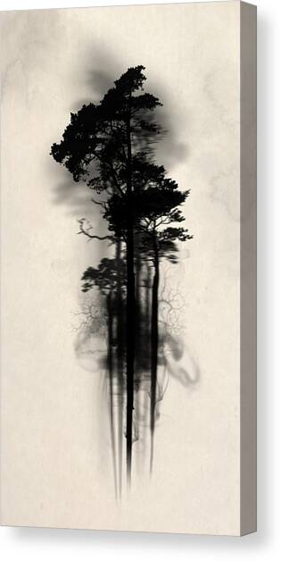 Enchanted Forest Canvas Art Print by Nicklas Gustafsson