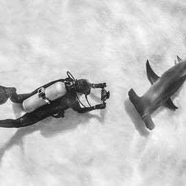 Eye To Eye by Ken Kiefer