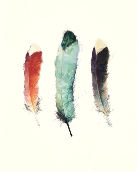 Feathers Art Print