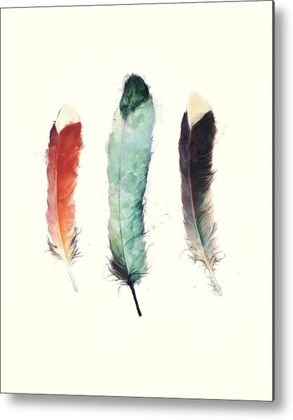 Feathers Metal Print