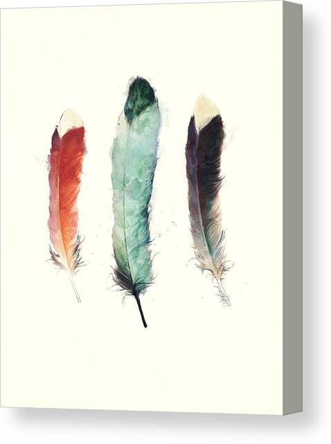 Feathers Canvas Art Print by Amy Hamilton