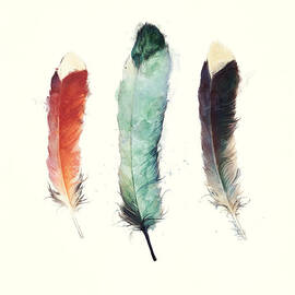 Feathers by Amy Hamilton