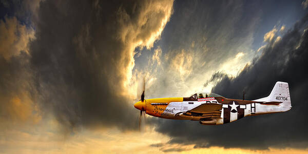 Wall Art - Photograph - Ferocious Frankie by Meirion Matthias