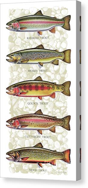 Five Trout Panel Canvas Art Print by JQ Licensing