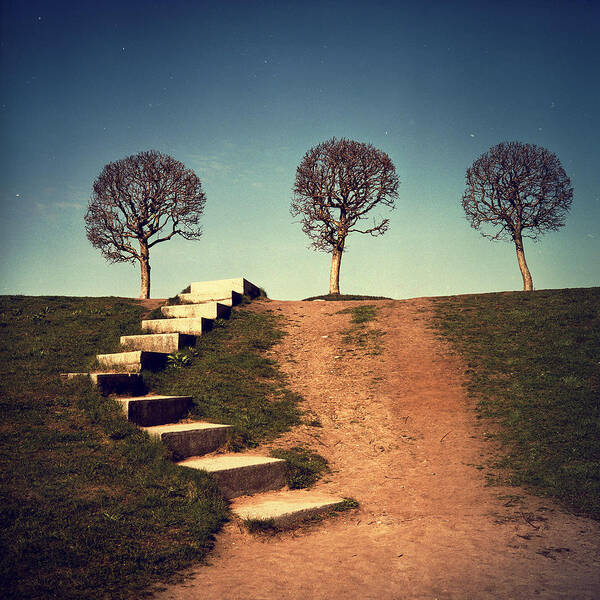 Wall Art - Photograph - Fourteen by Alexander Kuzmin