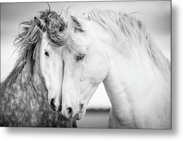 Friends V Metal Print