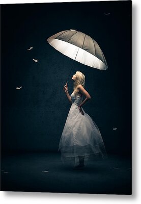  Metal Prints