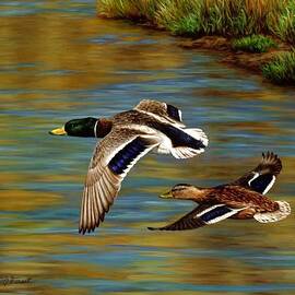 Golden Pond by Crista Forest