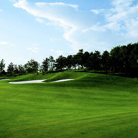 Golf Course Background - Xlarge by Phototalk