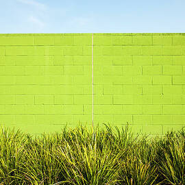 Green Wall With Plants by Christian Adams