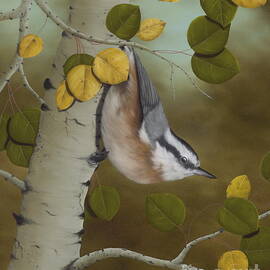 Hanging Around-Red Breasted Nuthatch by Rick Bainbridge