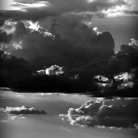 He Walks Under An African Sky by Wildphotoart