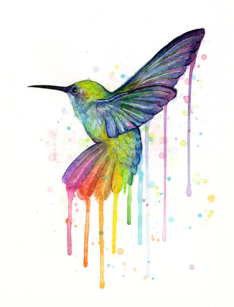 Wall Art - Painting - Hummingbird of Watercolor Rainbow by Olga Shvartsur