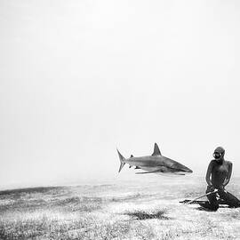 If sharks could fly by One ocean One breath