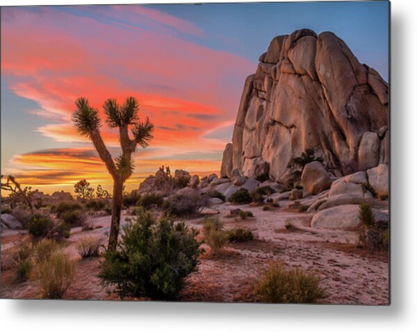 Joshua Tree Sunset Metal Print
