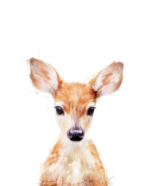 Little Deer Poster
