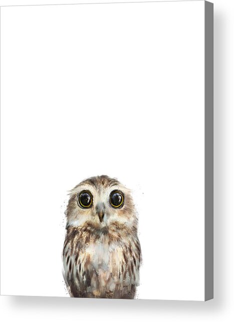Little Owl Acrylic Print