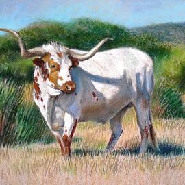 Longhorn Bull by Sue Halstenberg