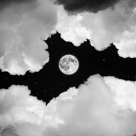 Moonlight by Ian David Soar